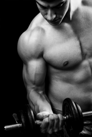 Fitness - powerful muscular man lifting weights